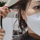 더블유헤어살롱 네이버블로그