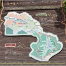 늠내길 1코스 숲길 이미지