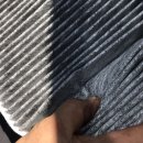 신일카포스