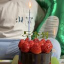 비슬산관광지 | 🌿 대구 근교 캠핑 비슬산자연휴양림 참꽃카라반 8호 이용 후기/달성군 다자녀 할인