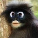 바른눈안경 이미지