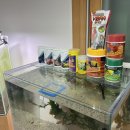 오션 뉴트리션 이미지