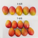 신라농장 이미지