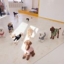 가모스타그램 이미지