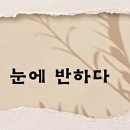 눈에반하다 - 원주시 | 눈에반하다