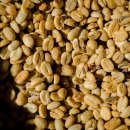 까마로사커피 이미지