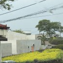 여유로운 | 제주시 한림읍 | 따뜻한 분위기의 여유로운 카페 <동명정류장> 내돈내산 후기
