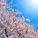 부경렌즈 이미지