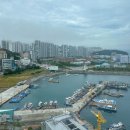 영도택시(주) 이미지