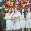 민희 카카오 검색결과