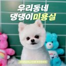 우댕샵