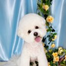 도꾸살롱 이미지