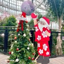 가족머리깎기(야간) | 세종 연말 크리스마스 축제 국립세종수목원 무료입장 야간개장 공연 정보 방문 후기