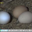 정옥순농장 이미지