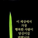 패밀리랜드카라반캠핑장 이미지