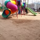 아양초교 병설유치원 이미지