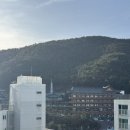 롤베니아 | 신혼집 셀인 29평 아파트 셀프 보양&이웃 선물 준비