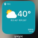 알파택시(주) | 2026년 6월 인도 구자라트주 아메다바드 (1)〃하얏트호텔 알파원몰 주변 맛집