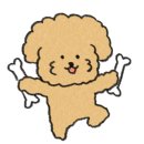 피즈파즈