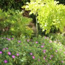 봄날처럼민박 이미지