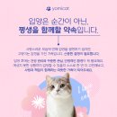 까만코 이미지