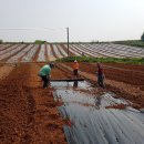 우정 농수산 이미지