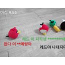 버드들 이미지