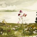 앤드류(ANDREW) 이미지