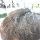 신비헤어 | [의정부미용실] 긴급 처방 완료｜의정부미용실 헤어신비롬에서 푸석했던 머릿결 되살린 솔직 후기