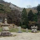 여선사 네이버블로그