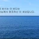 WCC.WEA 기독교는 양의 탈을 쓴 이리. 보라! 이미지