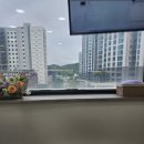 라포치과의원 네이버블로그