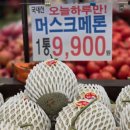 장마트 | 🛒 동네의 숨은 보물, 느티나무마트 토요일 장 본 후기
