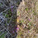 바람불어 좋은날 이미지