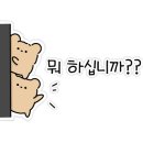 은신처 월성점 이미지