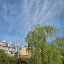 동춘당 | 대전 가볼만한 곳🌳 대전 산책 명소, 동춘당 다녀온 후기