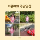 (주)리율 이미지