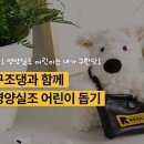 조댕이네