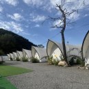 더캠프 | 가평 캠핑장 추천 가평더캠프카라반글램핑 후기 계곡뷰 불멍