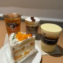 카페 시도 | 창원 가로수길 시도때도 카페 베이커리 맛집 내돈내산 방문 후기