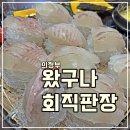 왔구나 회 이미지