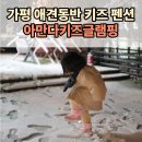 아만다키즈글램핑