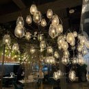 용호로5번길(3-169) | 모임 추천 저탄고지 슈가프리 메뉴, SFC몰 디라이프스타일키친 ｜광화문 맛집 내돈내산 후기