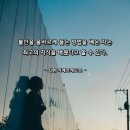 유한회사 아름드리 | 사랑 명상 494