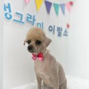 멍이발소 이미지