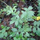 선학초등학교 이미지