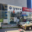 단정하개 이미지