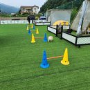 가평댕댕이애견펜션그린 이미지