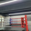 청무체육관 (킥복싱) 이미지