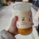 하이오커피 루원앨리스빌점에서 망고스노잉 먹기 루원 린스트라우스 새로생긴 신상카페